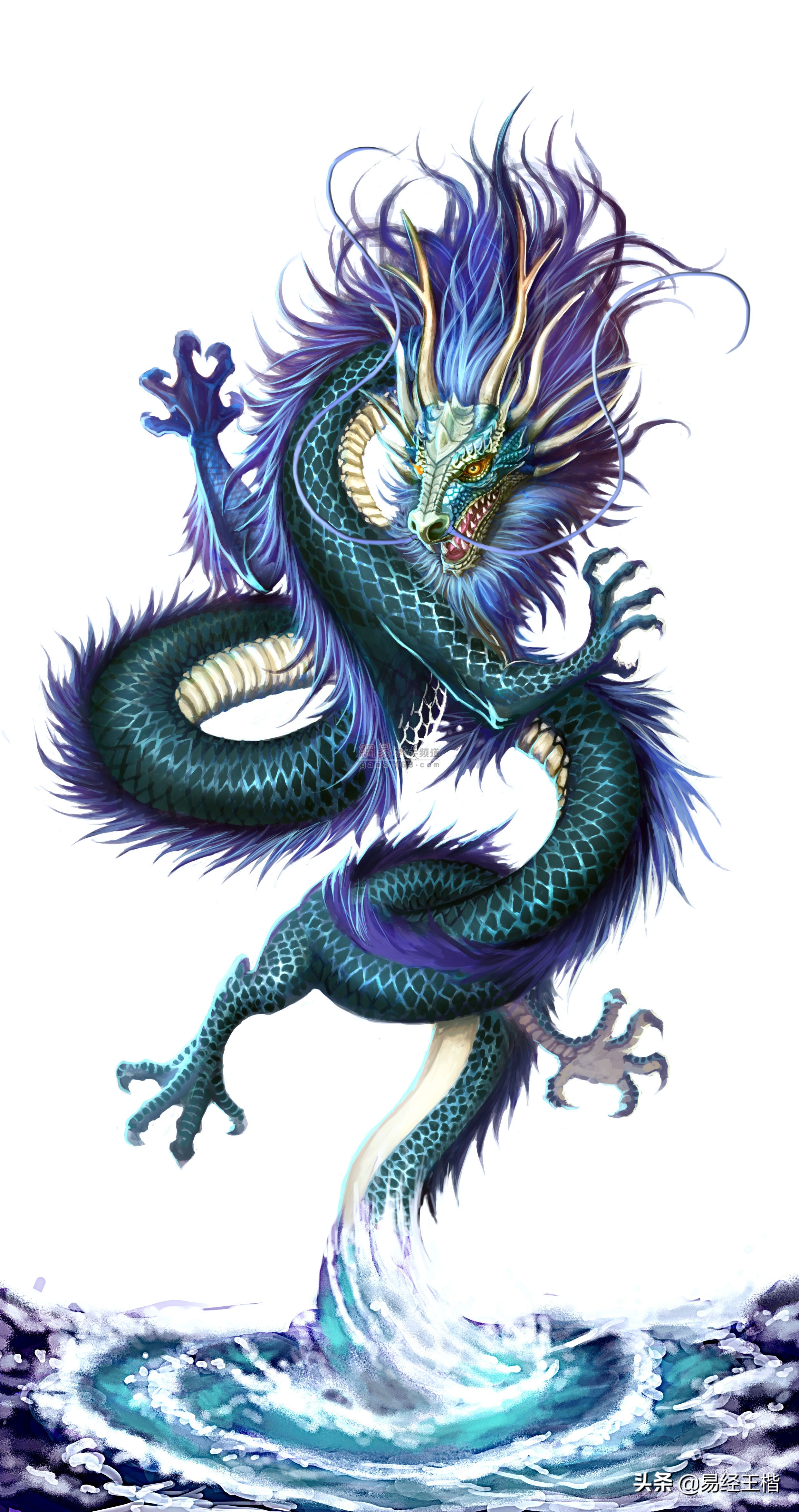 从龙而化说:从龙而化,所谓龙即辰也,甲己之年得