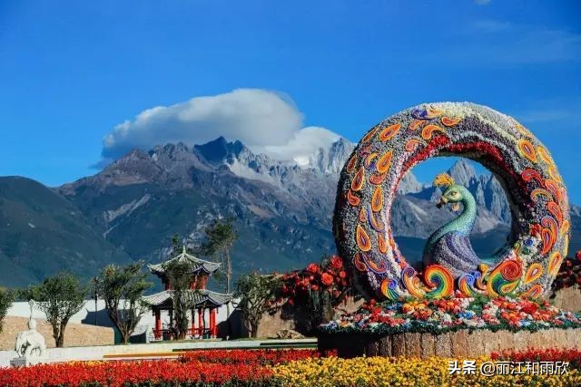 丽江-玩法！门票！住宿！攻略都在这里