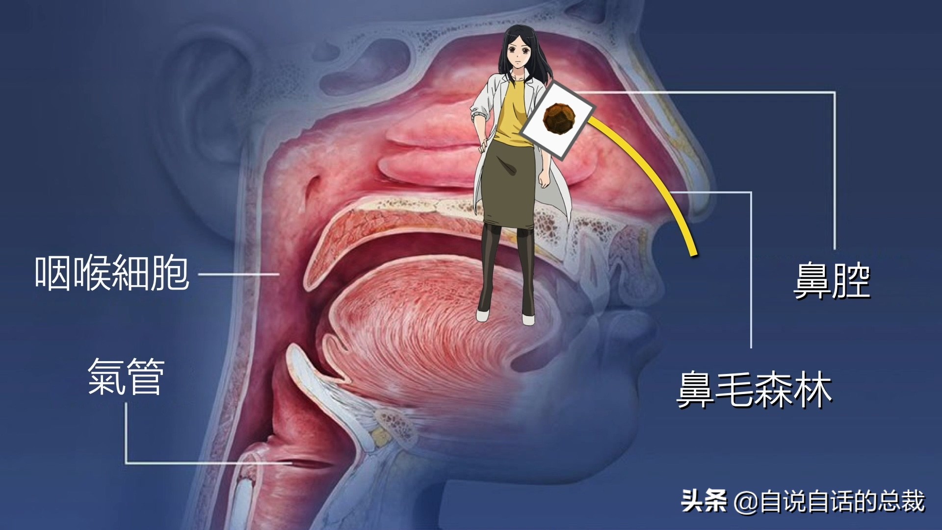 当你爆发过敏性鼻炎时，这就是你体内发生的故事