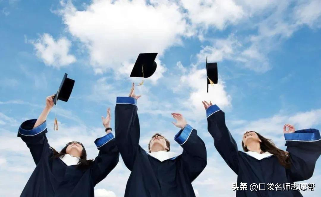 大学生人手一份！大学四年该如何学？这份最全学习计划表快收藏