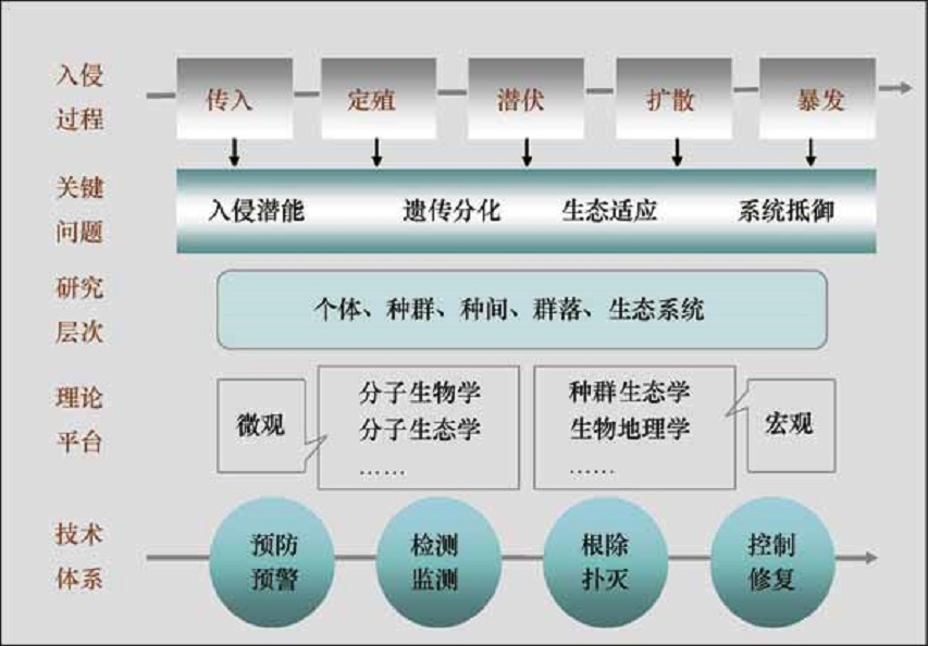 悬赏500万的鲤鱼！这些鲤鱼究竟做了什么，被澳大利亚重金通缉？