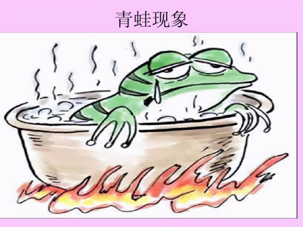 十大心理学效应