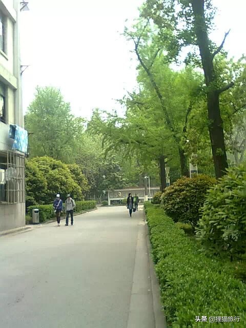 百年名校南京大学一日游，八年前的老照片带你回忆南大