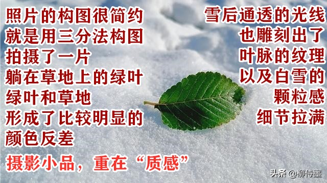 拍摄漂亮的“一叶知秋”，留下秋天的多姿多彩，摄影技巧学起来