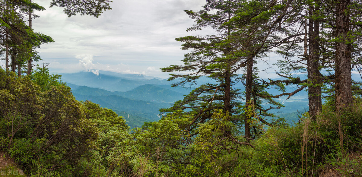 四川瓦屋山迷魂凼(中国最恐怖的10大生命禁地1——瓦屋山迷魂凼)