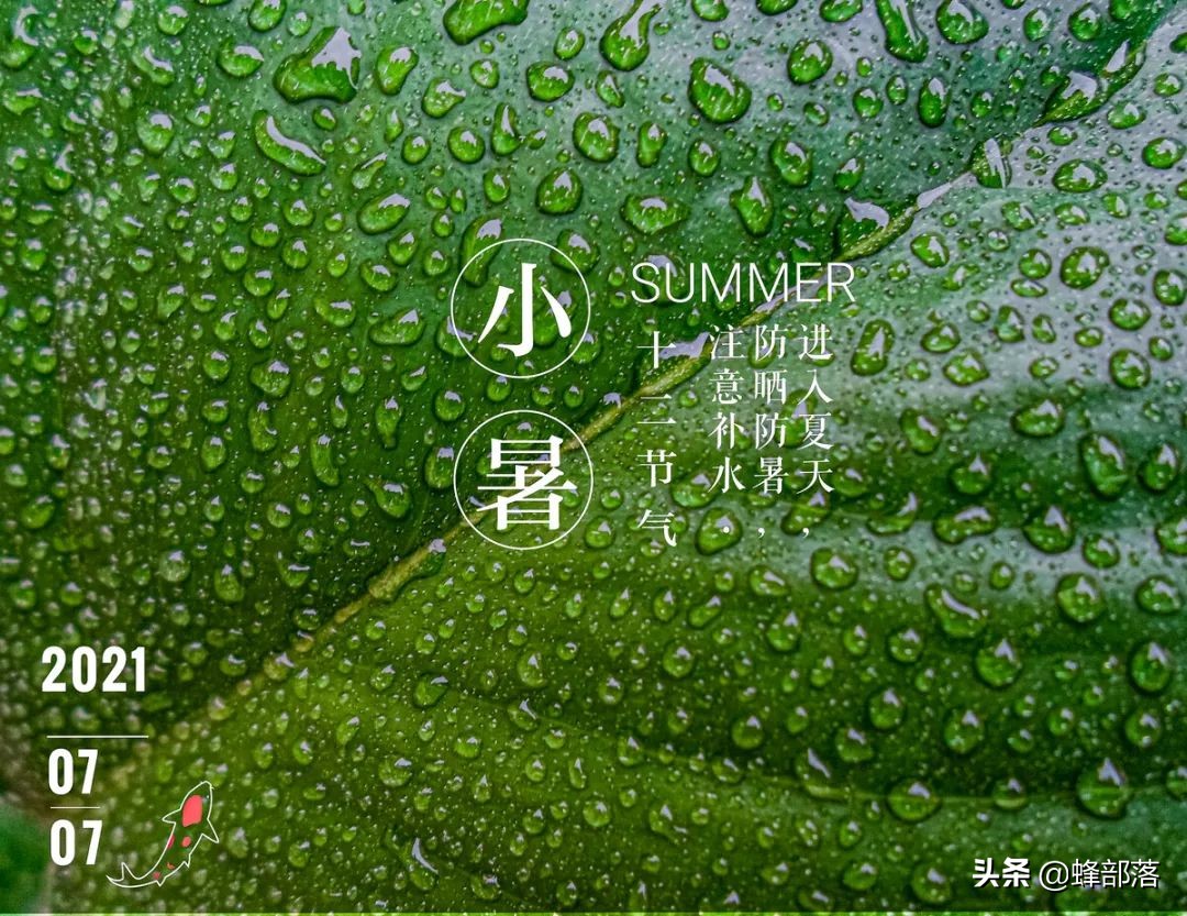今日小暑入伏，高温炙烤大地，2022年酷暑难耐