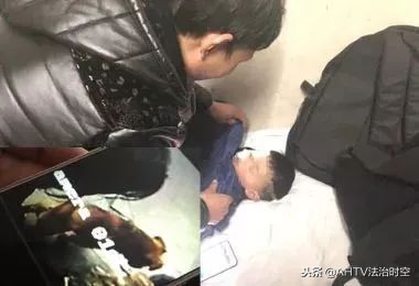 说法丨被寄养在老板家的藏獒咬伤，该找谁赔偿？