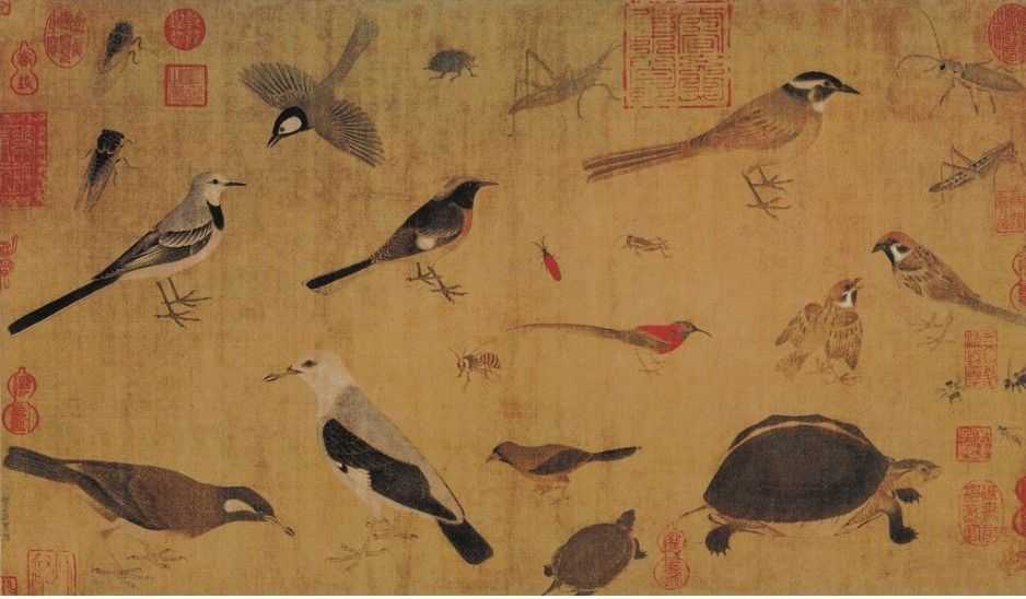 中国画入门宝典，走进中国写意画，用通俗的语句讲解中国写意画！