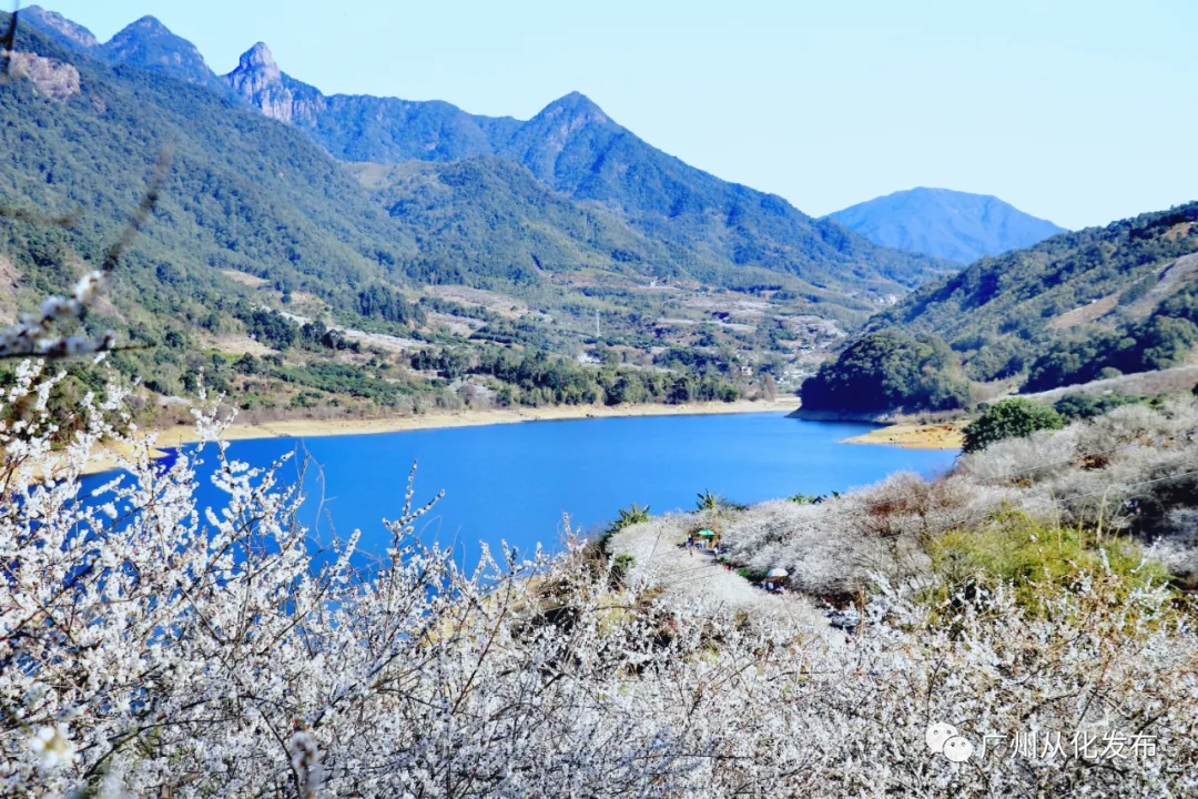 广州从化这个地方入选广东十大最美森林旅游目的地