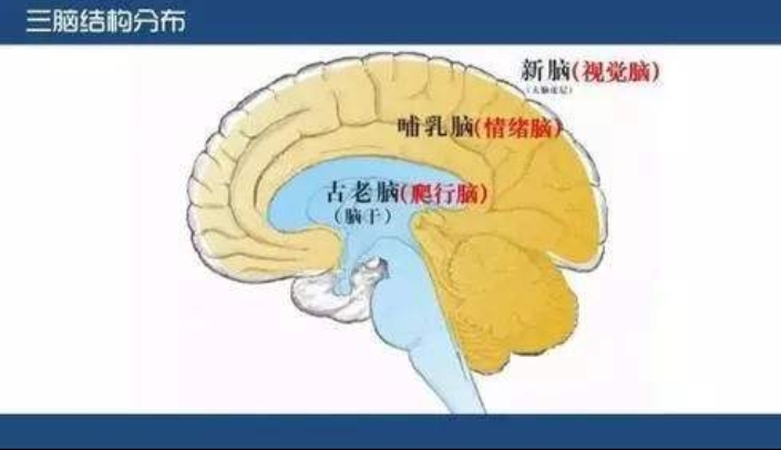 从一场“清创手术”中，领悟到的职场3大禁忌