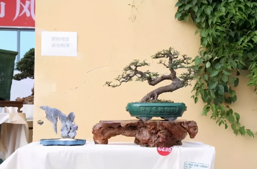 广东科贸职业学院学费宿舍费学校环境宿舍环境怎么样