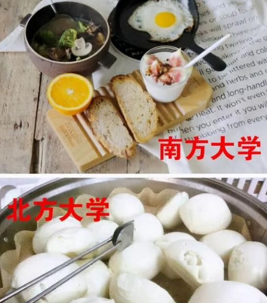 南方上大学和北方上大学，有啥区别？这5张图过于形象，太真实了