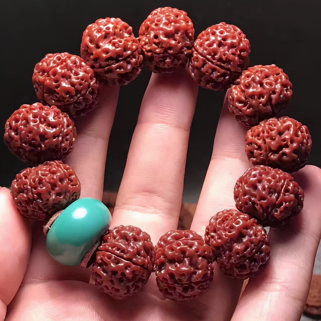 5瓣金刚手串价格新手选