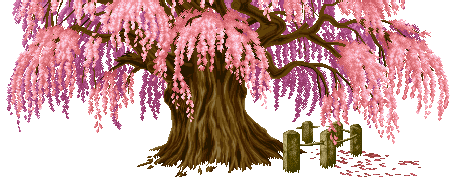 【苦乐年华17】第五章高中时期第10节：高考使用的教材和资料