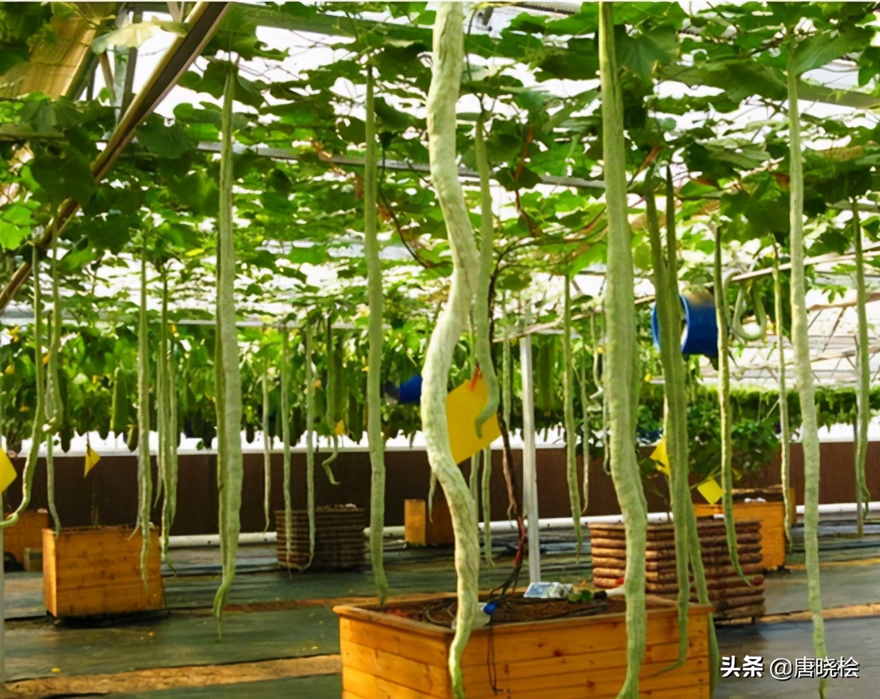 武汉十大旅游必去景点，赶紧先收藏起来呗