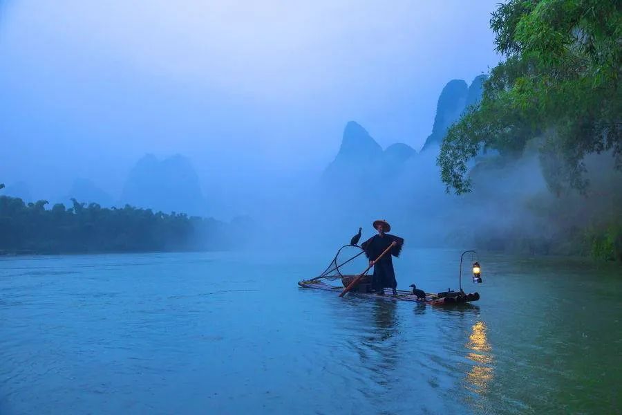 遇一树新绿，许一世静好