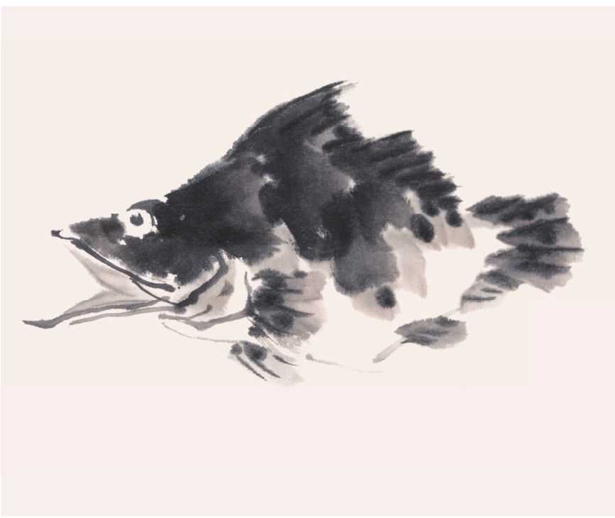 零基础水族的画法：怎么样用双勾发画金鱼鲤鱼？学会几分钟一幅画