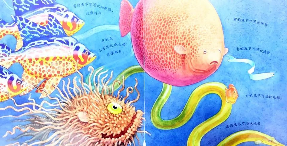 细节中见高低，《一条聪明的鱼》：告诉孩子追梦的脚步，不该停