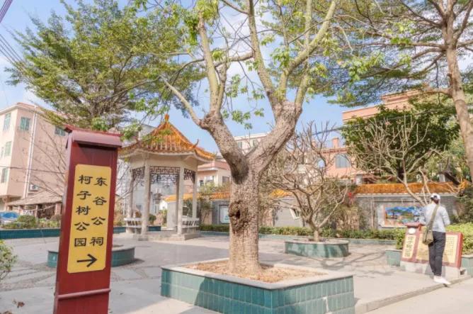 番禺4个村入选“广州最美”，是你的村吗？快来瞧瞧~