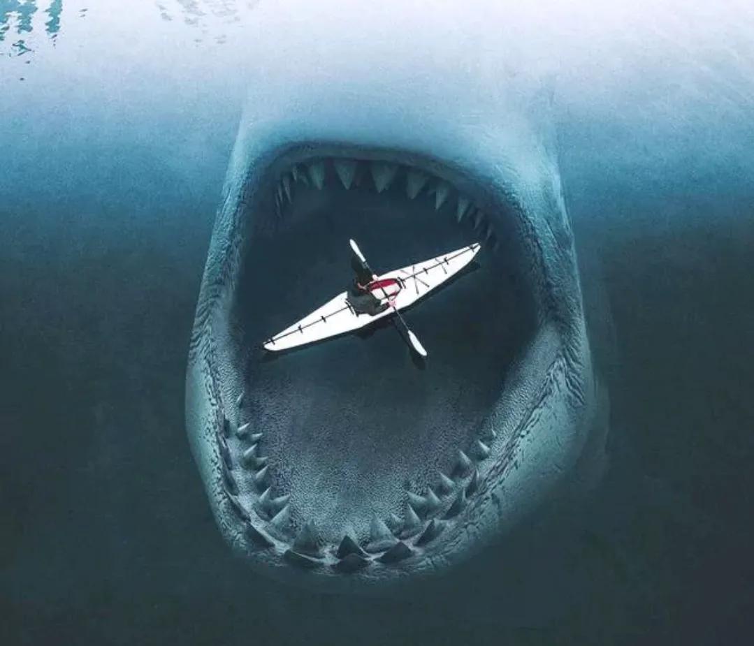 深海恐惧症图片测试图(13张海底图片) - 赤虎壹号