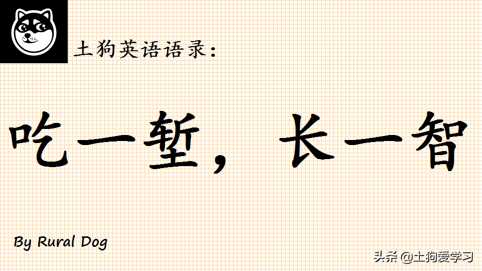 土狗英语语录：英文版“吃一堑，长一智”，咋翻译？来看大佬翻译