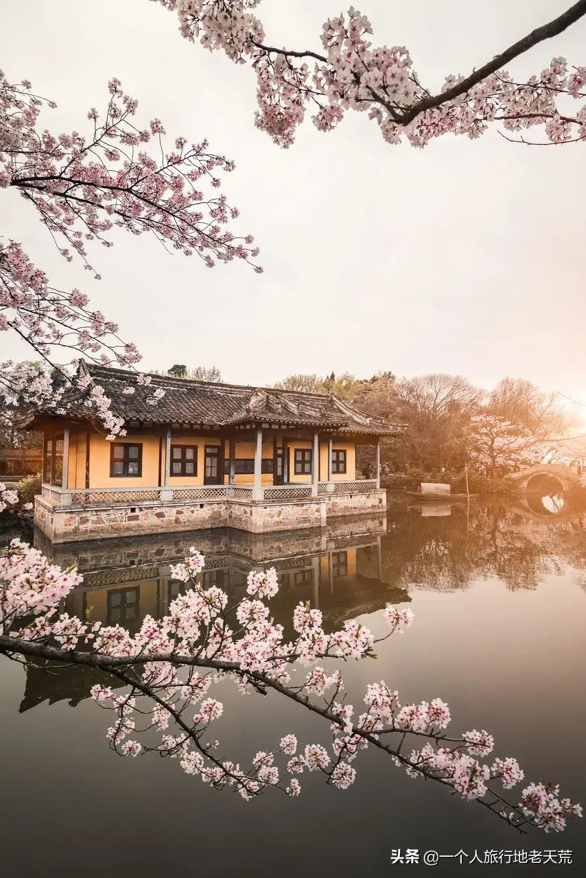 江南这么美,所以这个三月,春风十里不如下江南