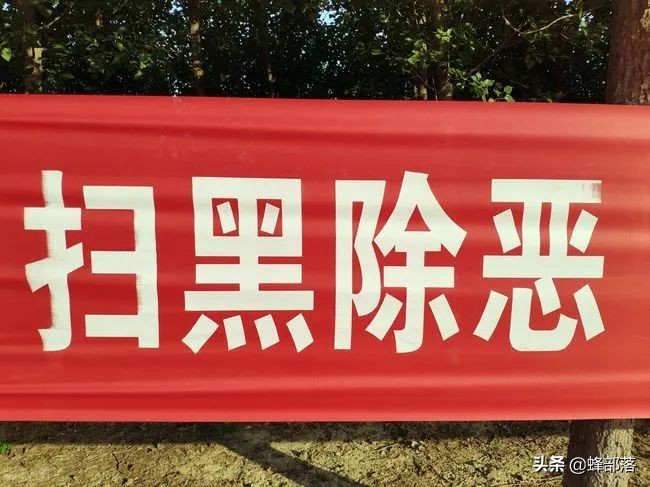 ​最高法：将在农村采取行动，严惩农村违法行为，4类人将遭殃