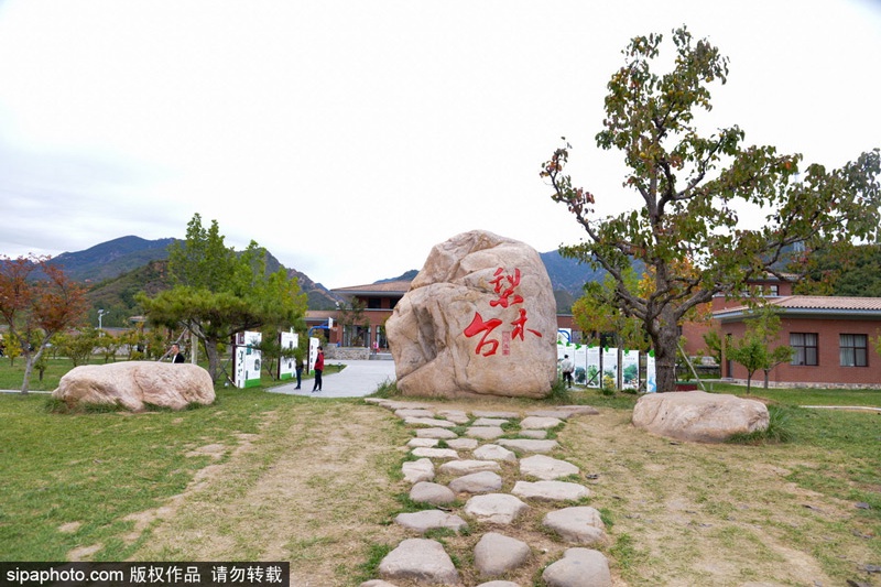 五一周边游！天津景区推荐：个个都堪称经典！