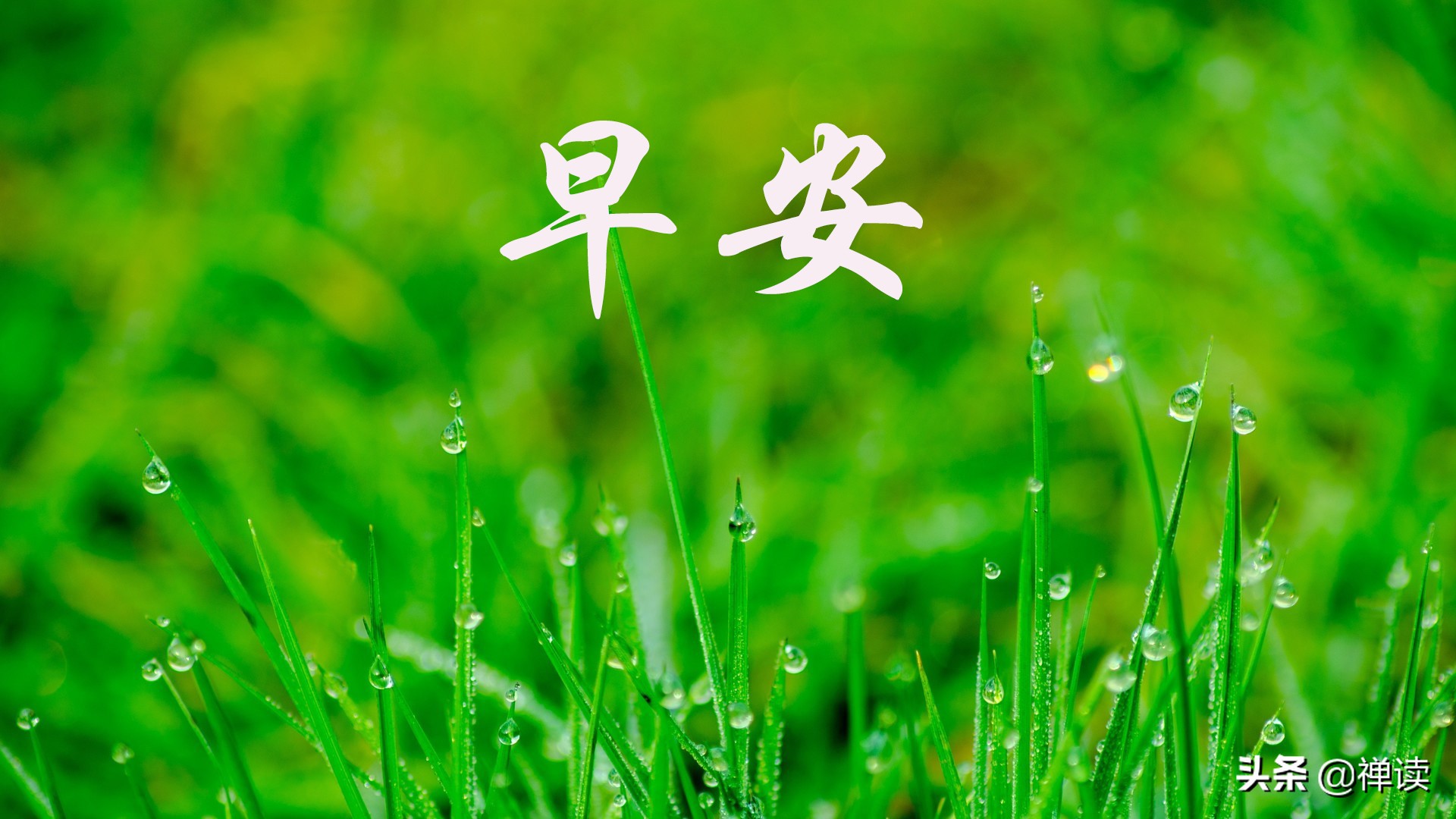 早安心语：时光总是无言，所以来去都匆匆