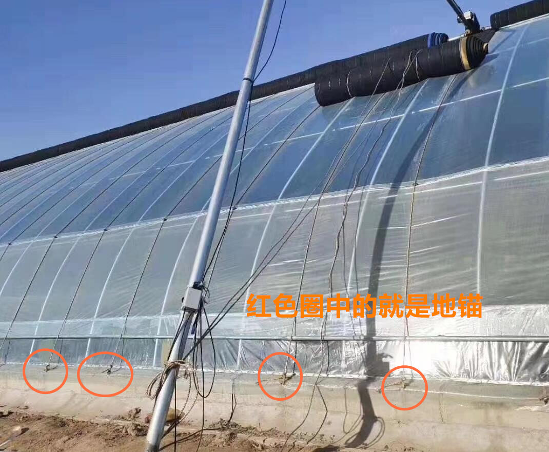 地锚在日光温室的应用并没有春秋大棚那么重要,但还是可以起到一定的