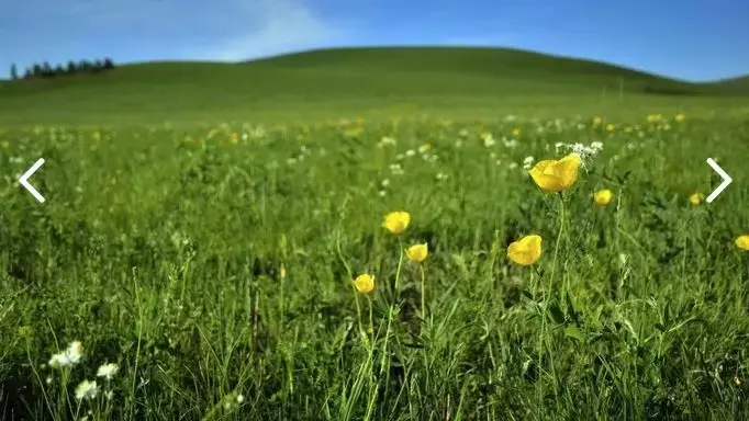 东北游学报名倒计时3天