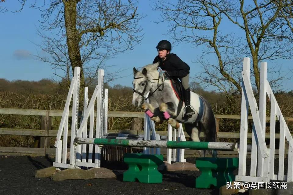 英国10大上天下地户外运动推荐：跳伞潜水真人cs...开启刺激之夏