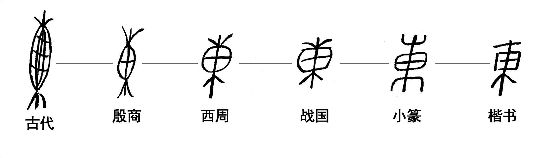 中华文明起源（文字探索）•“東”字