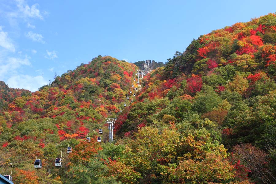 河南观赏最美秋景，去这10个地方就够了，景色绝美