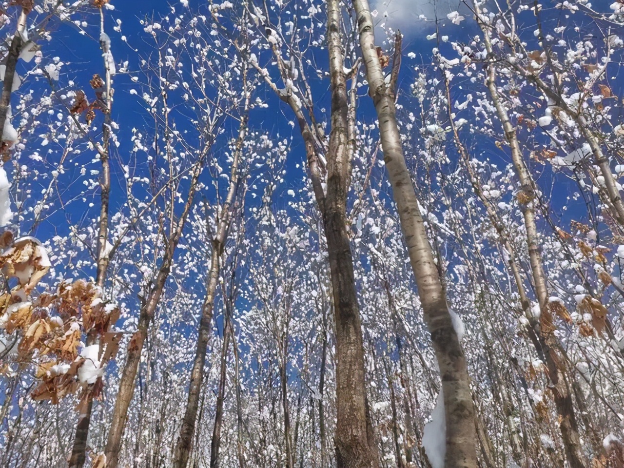 逢年过节，亲戚往来，更应该断舍离