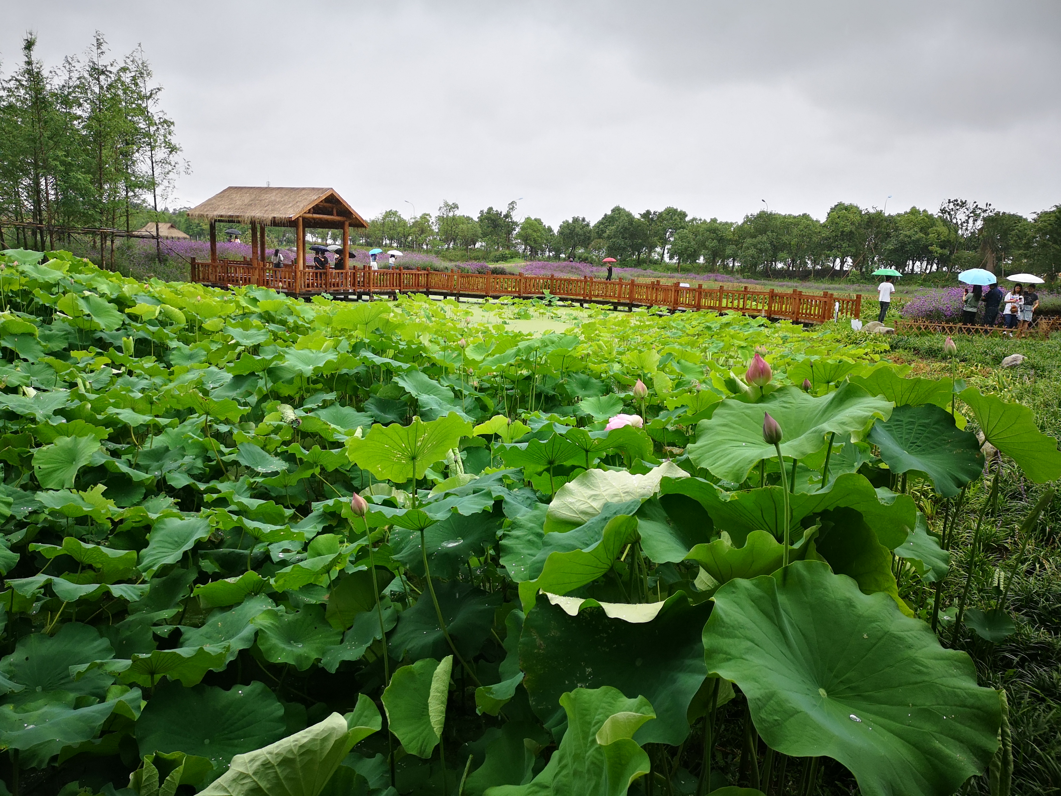 中国海盗的老窝,千洞蛇蟠岛,就在这个小县城里,很多人都不知道