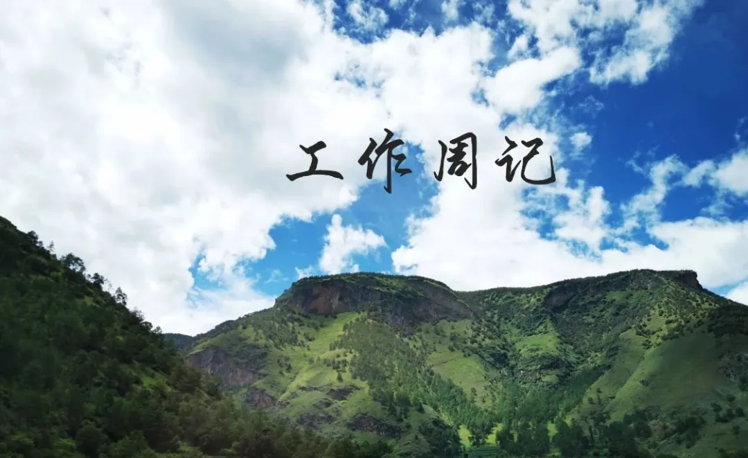 日拱一卒：保险经纪人工作周记2020.10.18-10.31