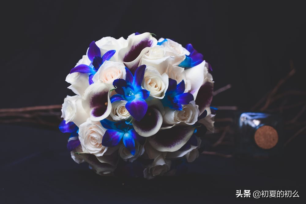 古风伤感句子 | 几段唏嘘、几世悲欢，可笑，我命由我不由天