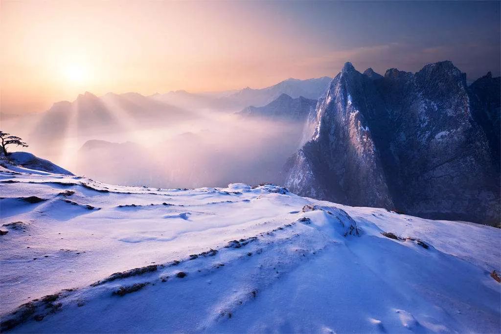 雪后华山，才是真正的侠客江湖：飞雪连天射白鹿，笑书神侠倚碧鸳