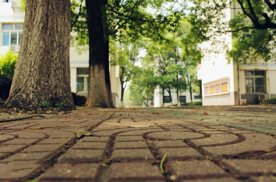 湖南岳阳闻名遐迩四所好高中，2020高考喜报，岳阳市一中继续领跑