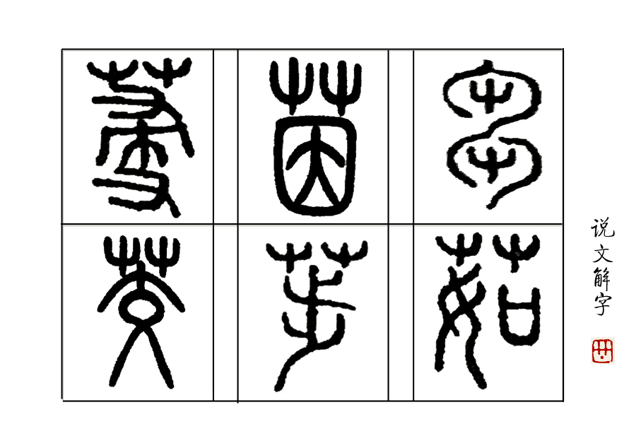 草的引申含义 _飞翔号