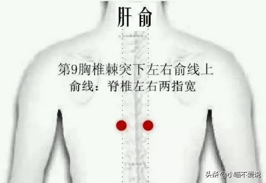 心气、肝气、脾气、肺气、肾气，都有个"补气穴"，气足，人长寿