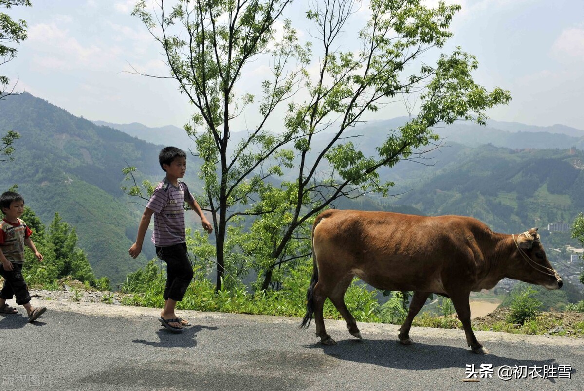 儿童节里赏童诗，九则童诗美句保养你的童心，来看看