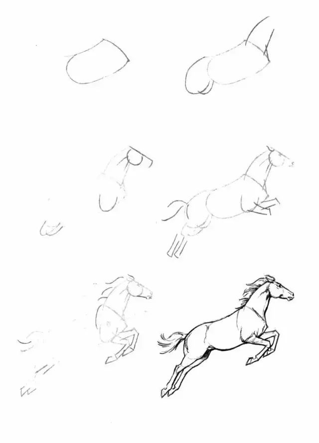 马的简笔画(简笔画教程,50个马的画法!