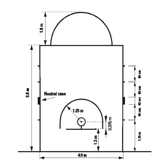 为什么感觉nba的球框大(篮筐为什么高3.05米？三分线多远？满满干货讲解篮球小知识)