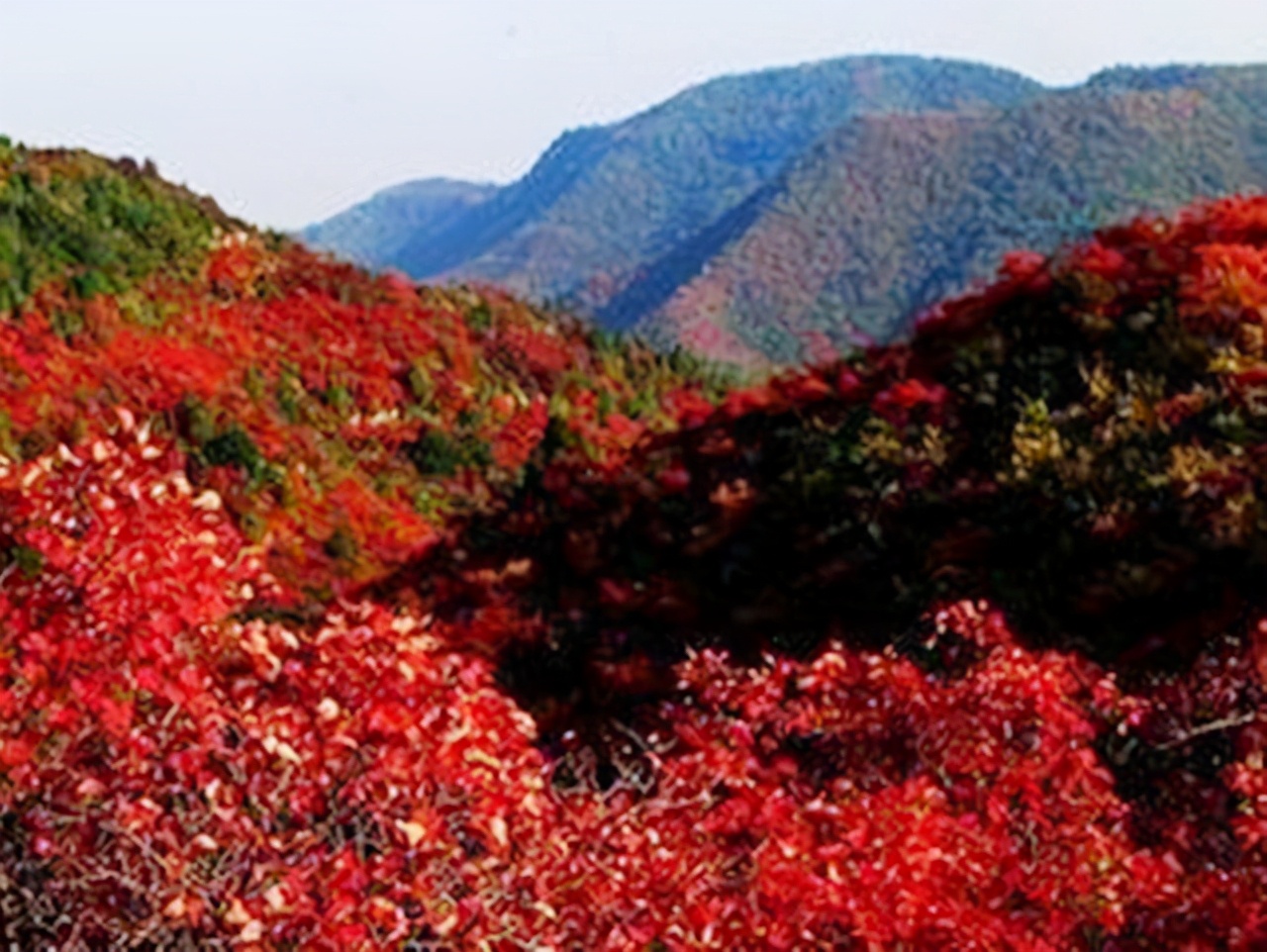 1949年是谁选定中南海，成为中央机关在北平的办公地点？