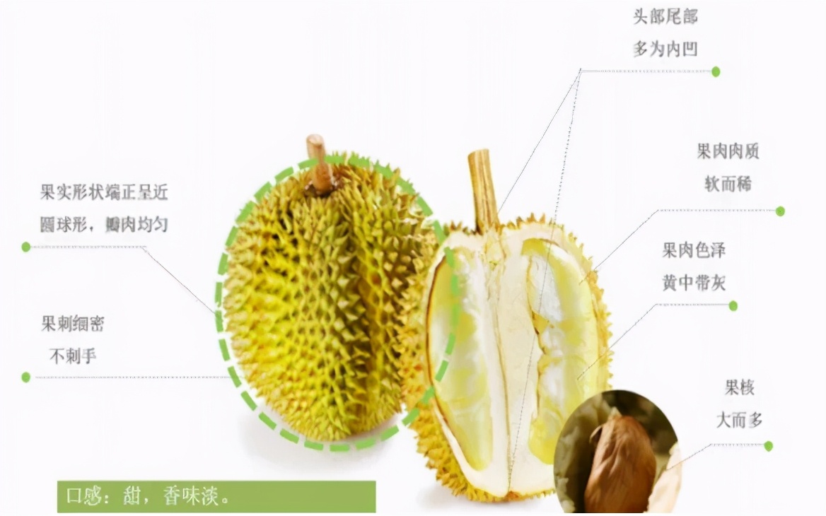 如何挑选榴莲以及榴莲的常见问题解答