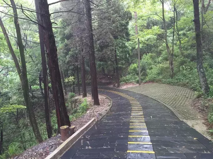 寻一处静谧，赶一场春雨