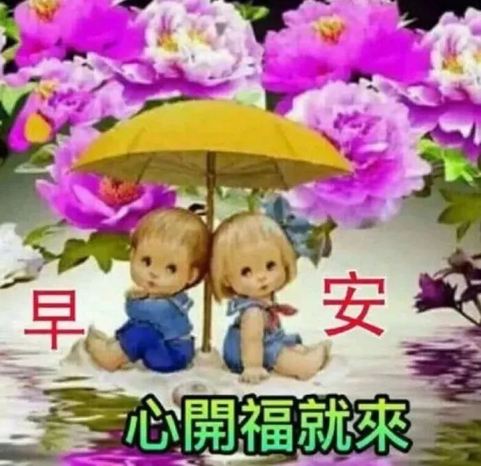 无奈的祝福