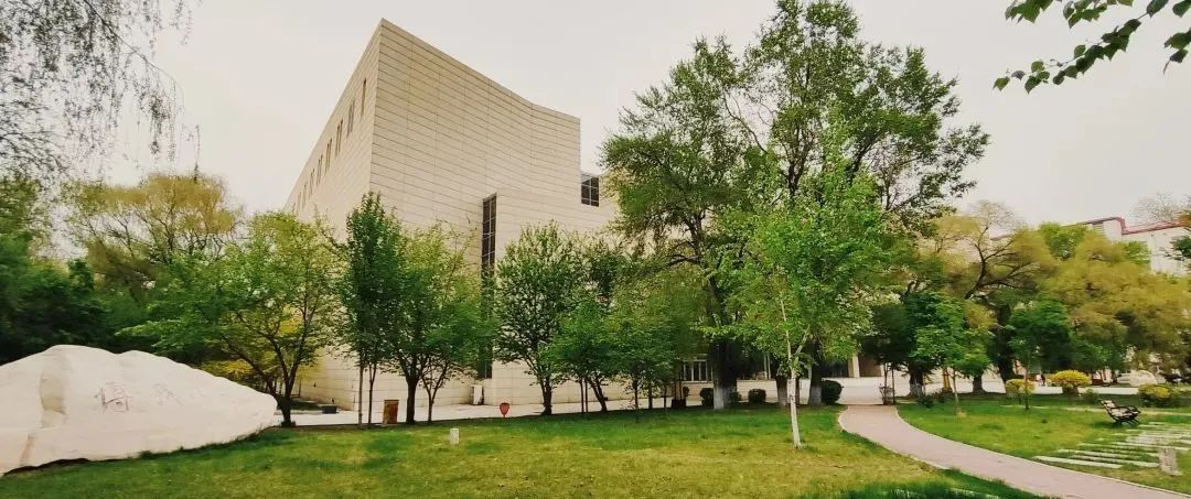 黑龙江大学2020年高校专项计划招生简章